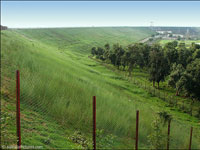 Cocoon Luxury Business Hotel Dhanbad